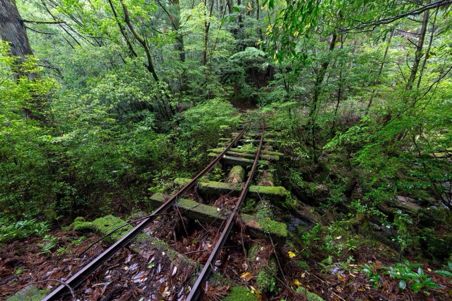 Kagoshima, Spring 2025, Japan. Photograph by Jordy Meow, 7/18