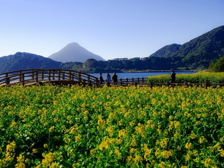 Kagoshima, Winter 2022, Japan. Photograph by Jordy Meow, 10/18