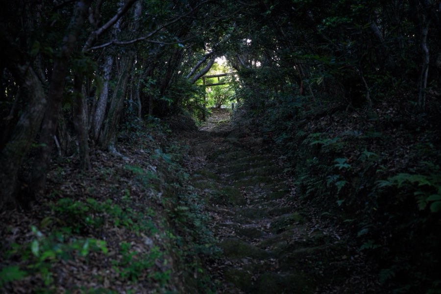 Kagoshima, Spring 2018, Japan. Photograph by Jordy Meow, 17/18