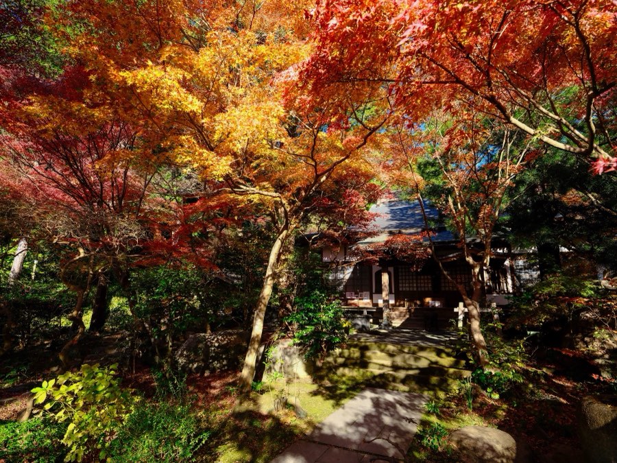 Kanagawa, Winter 2021, Japan. Photograph by Jordy Meow, 5/12