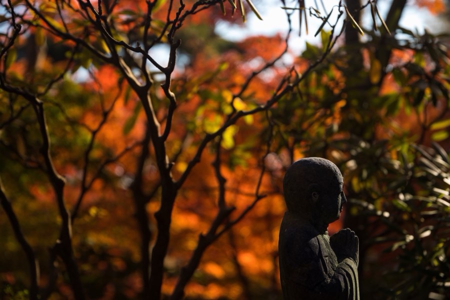 Kanagawa, Autumn 2017, Japan. Photograph by Jordy Meow, 7/12