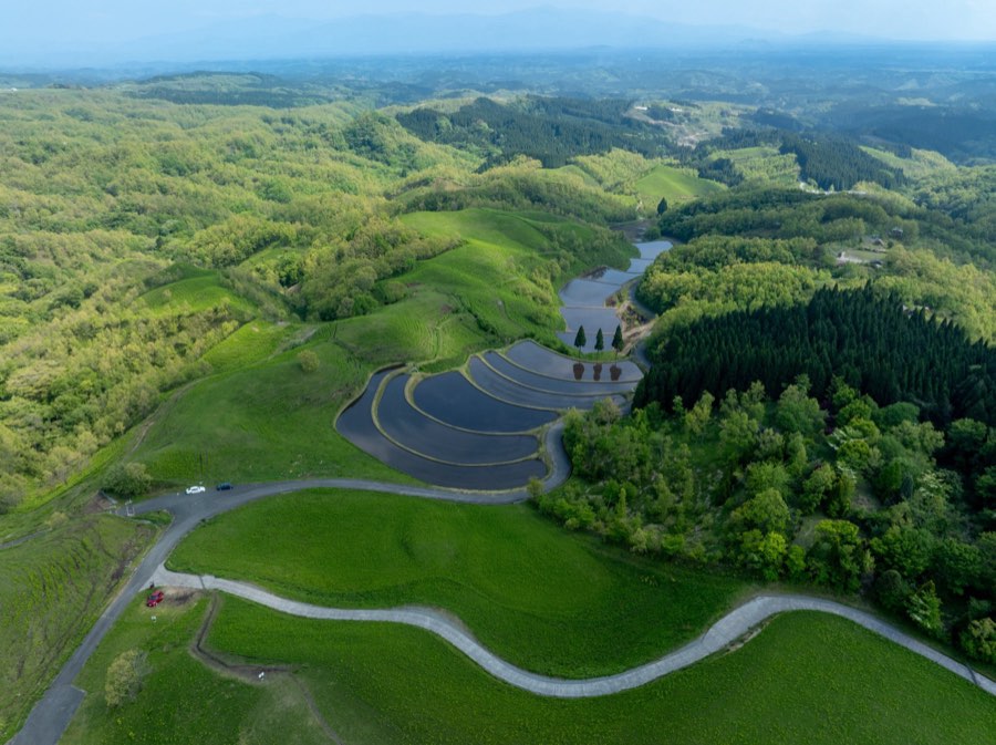 Kumamoto, Spring 2025, Japan. Photograph by Jordy Meow, 14/32