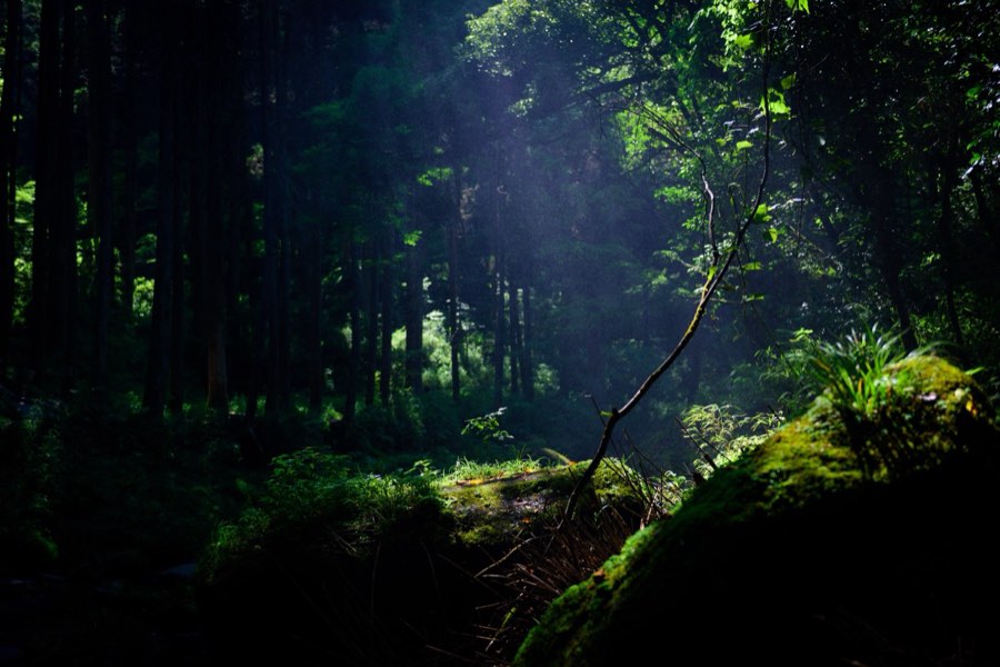 Kumamoto, Summer 2015, Japan. Photograph by Jordy Meow, 29/32