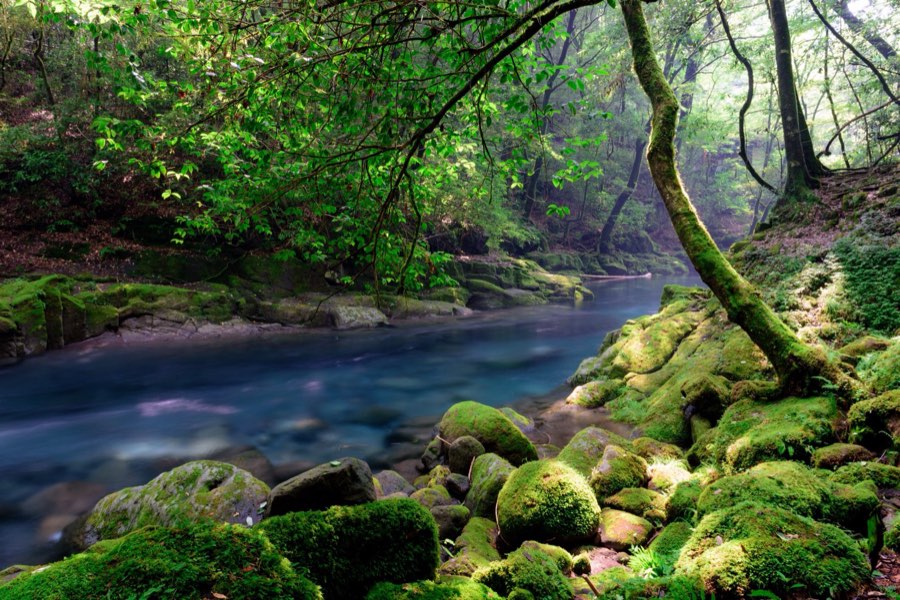 Kumamoto, Summer 2015, Japan. Photograph by Jordy Meow, 32/32
