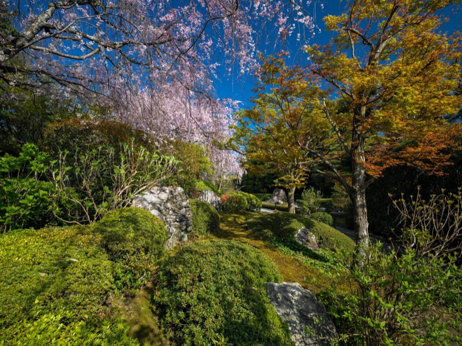Kyoto, Spring 2020, Japan. Photograph by Jordy Meow, 7/28