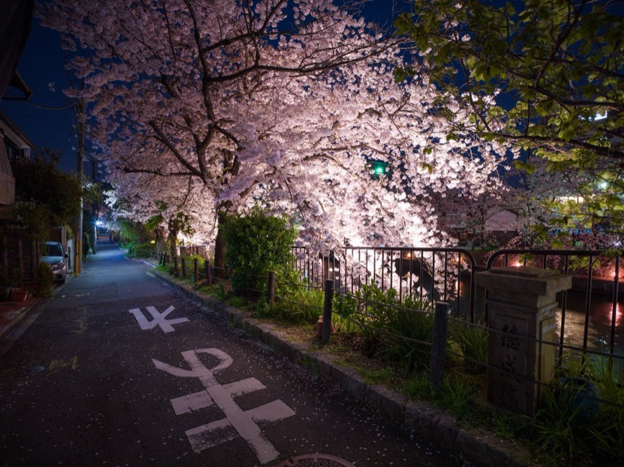 Kyoto, Spring 2020, Japan. Photograph by Jordy Meow, 9/28