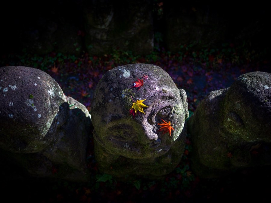 Kyoto, Autumn 2019, Japan. Photograph by Jordy Meow, 13/28
