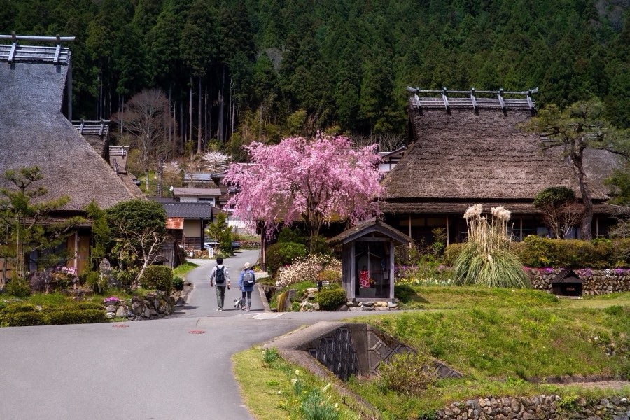 Kyoto, Spring 2019, Japan. Photograph by Jordy Meow, 16/28