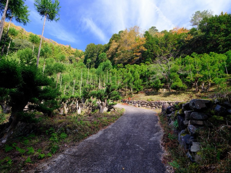 Kyoto, Autumn 2022, Japan. Photograph by Jordy Meow, 20/28
