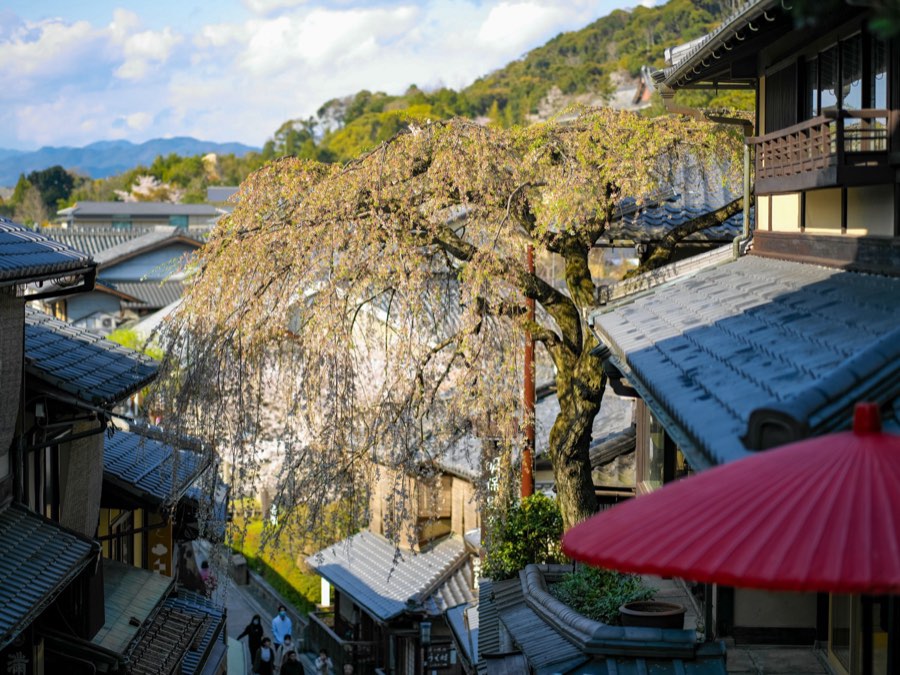 Kyoto, Spring 2020, Japan. Photograph by Jordy Meow, 24/28