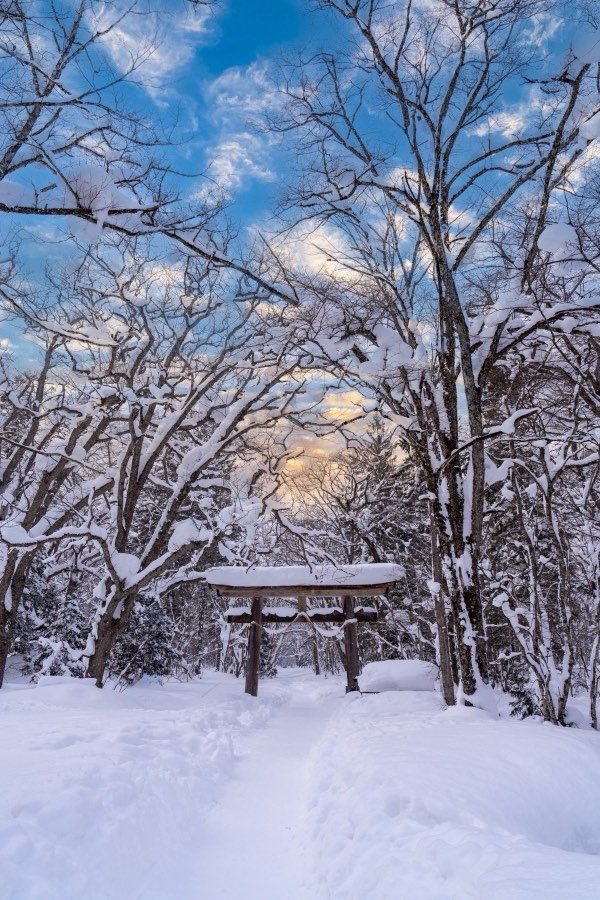Nagano, Winter 2025, Japan. Photograph by Jordy Meow, 1/33
