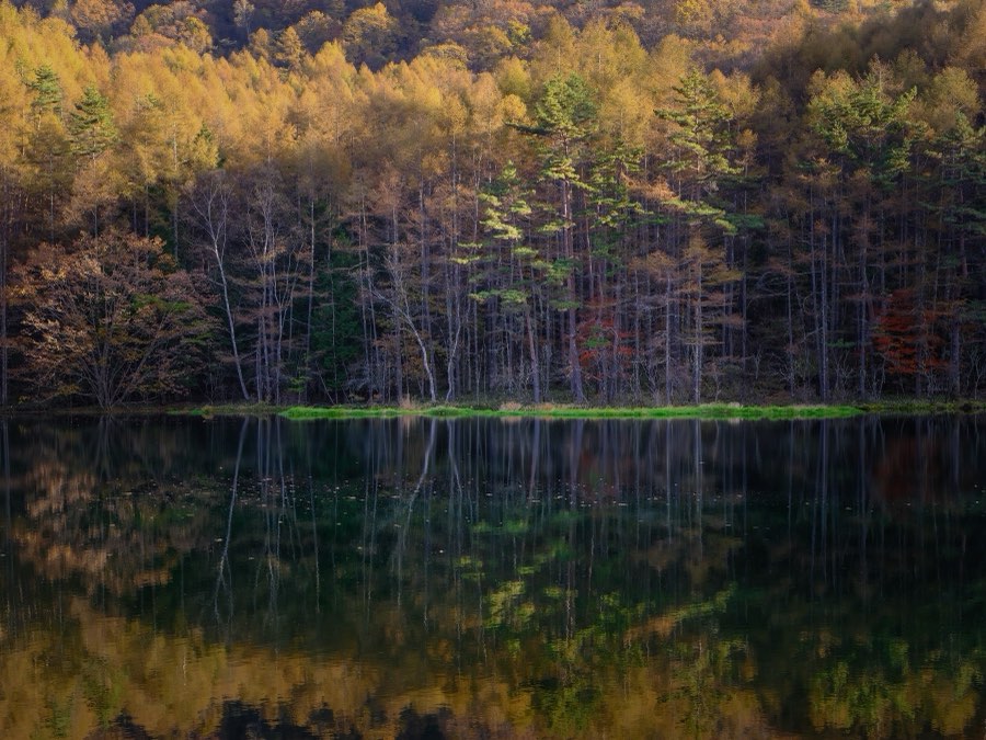 Nagano, Autumn 2022, Japan. Photograph by Jordy Meow, 4/33