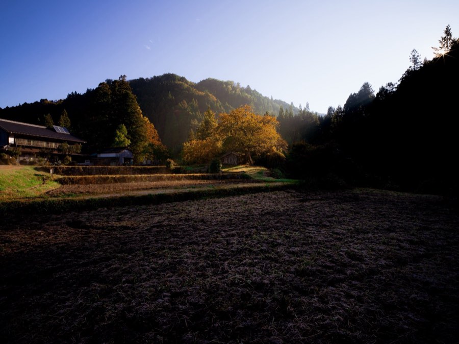 Nagano, Autumn 2019, Japan. Photograph by Jordy Meow, 6/33