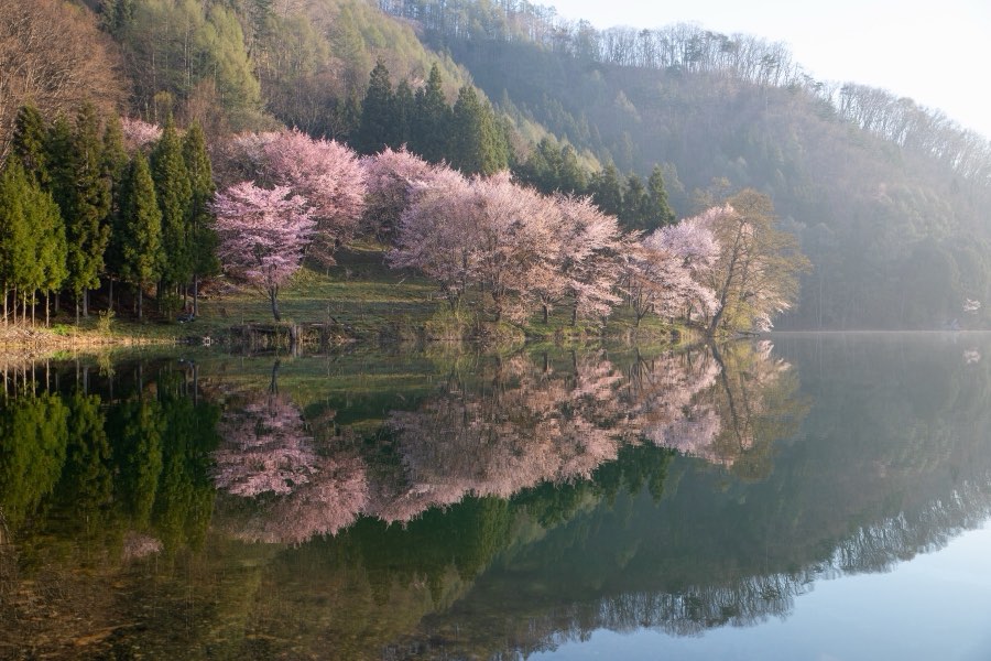 Nagano, Spring 2019, Japan. Photograph by Jordy Meow, 8/33