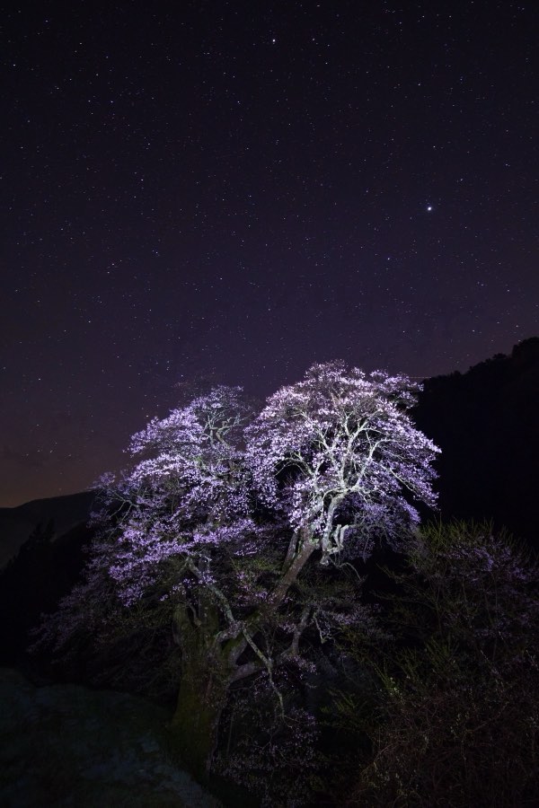 Nagano, Spring 2017, Japan. Photograph by Jordy Meow, 15/33