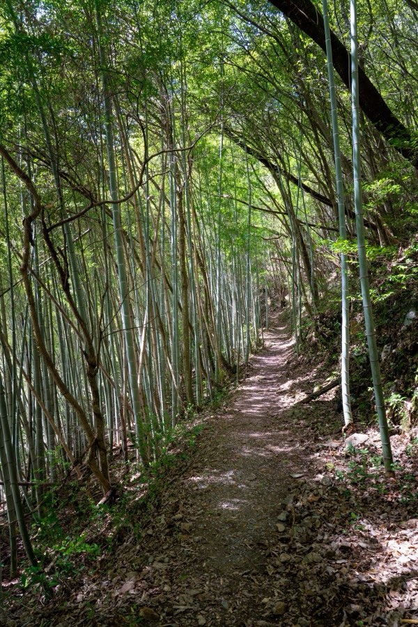 Nagano, Spring 2026, Japan. Photograph by Jordy Meow, 20/33