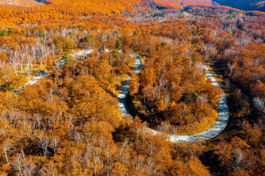 Nagano, Autumn 2021, Japan. Photograph by Jordy Meow, 23/33