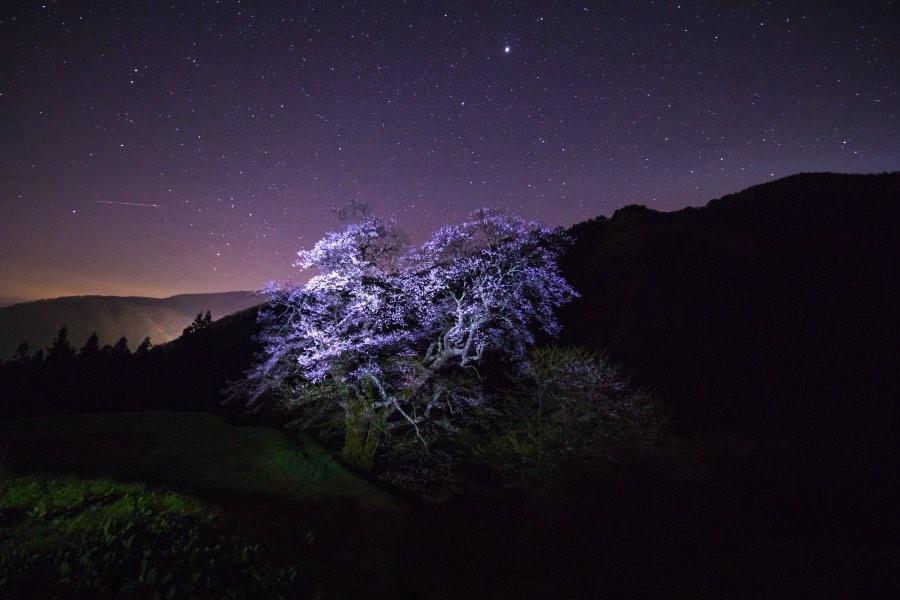 Nagano, Spring 2017, Japan. Photograph by Jordy Meow, 27/33