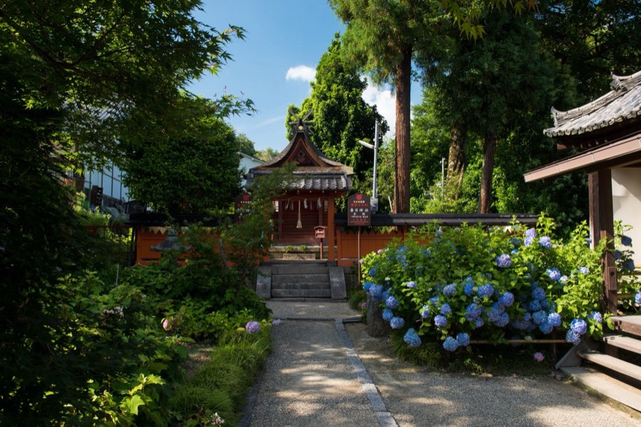 Nara, Summer 2016, Japan. Photograph by Jordy Meow, 19/26