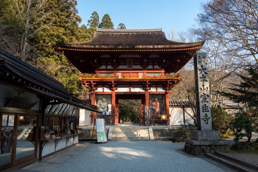 Nara, Winter 2016, Japan. Photograph by Jordy Meow, 24/26