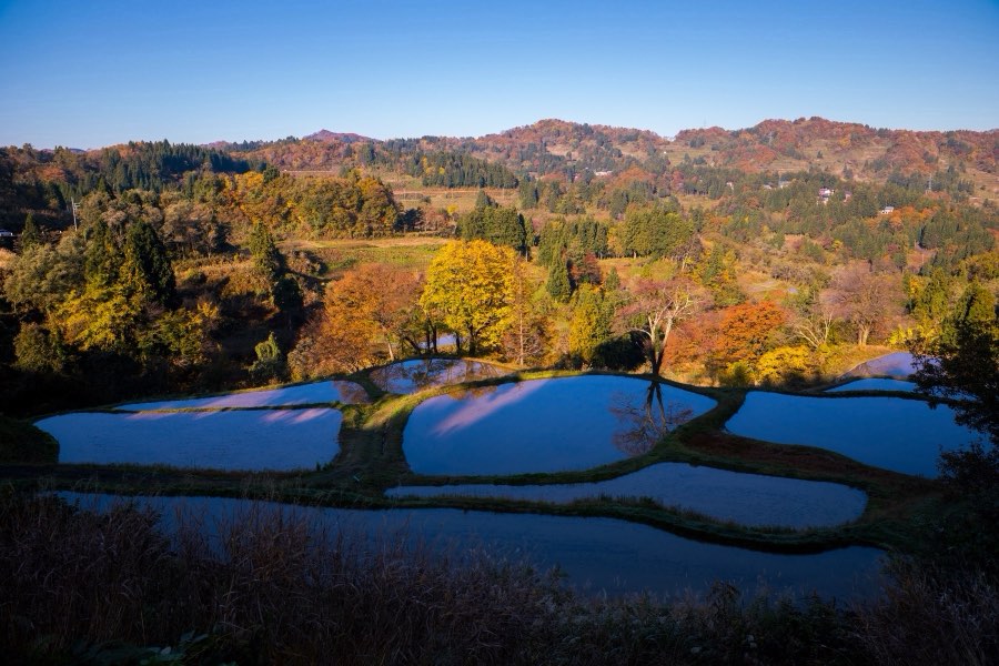 Niigata, Autumn 2017, Japan. Photograph by Jordy Meow, 3/25