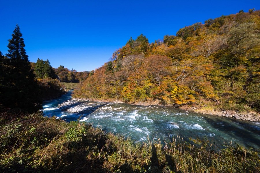 Niigata, Autumn 2017, Japan. Photograph by Jordy Meow, 20/25