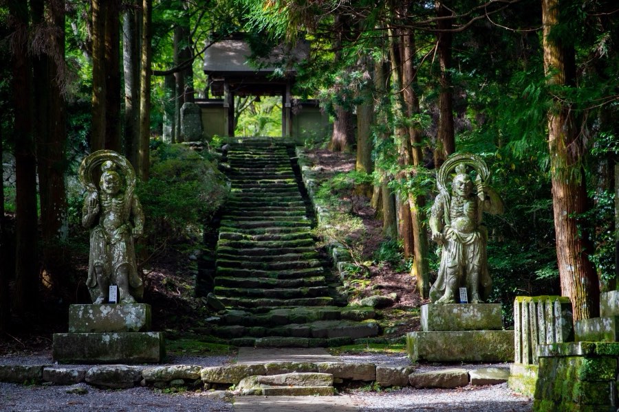 Oita, Autumn 2019, Japan. Photograph by Jordy Meow, 3/11