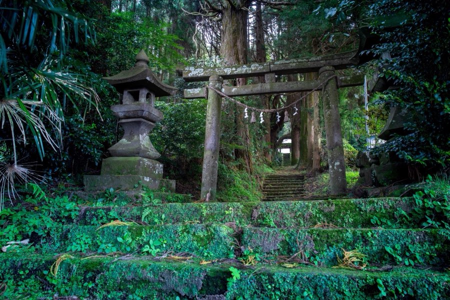 Oita, Autumn 2019, Japan. Photograph by Jordy Meow, 4/11