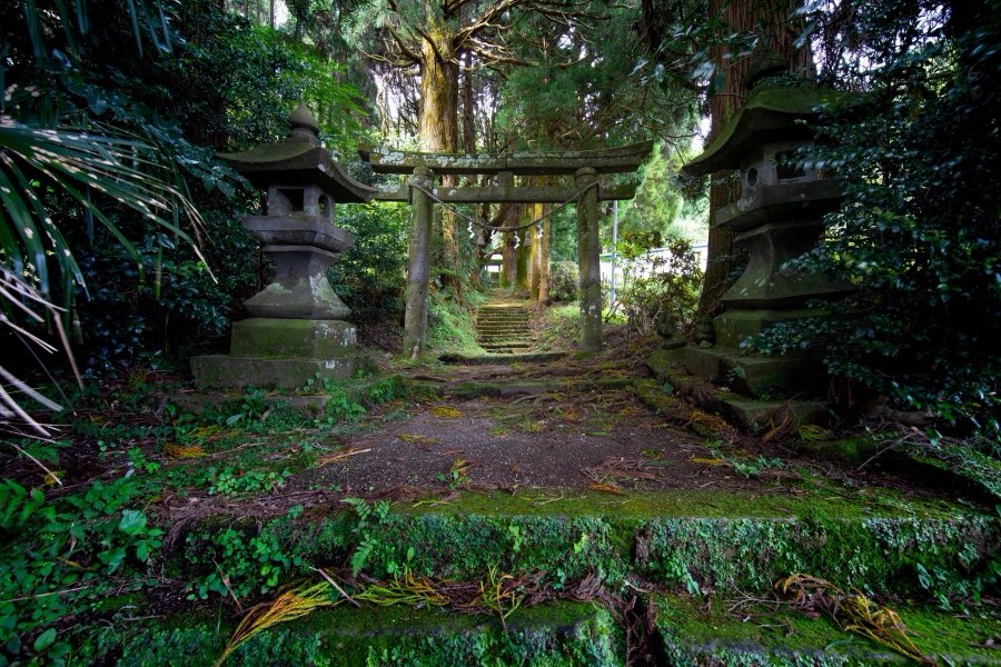 Oita, Autumn 2019, Japan. Photograph by Jordy Meow, 5/11