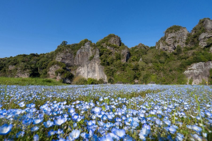 Oita, Spring 2024, Japan. Photograph by Jordy Meow, 9/11