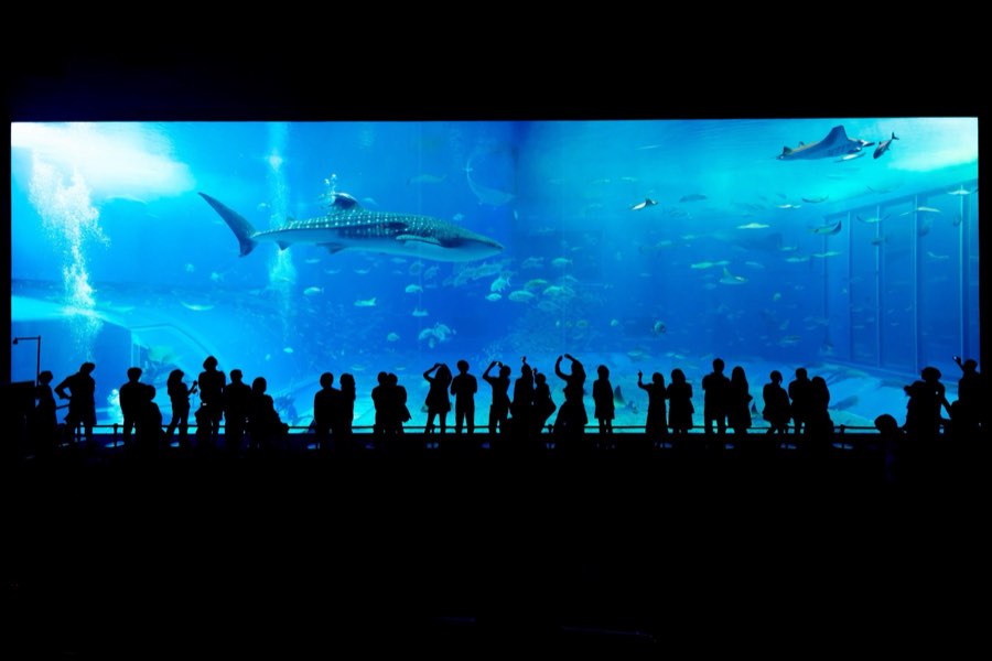 Okinawa, Autumn 2012, Japan. Photograph by Jordy Meow, 4/14