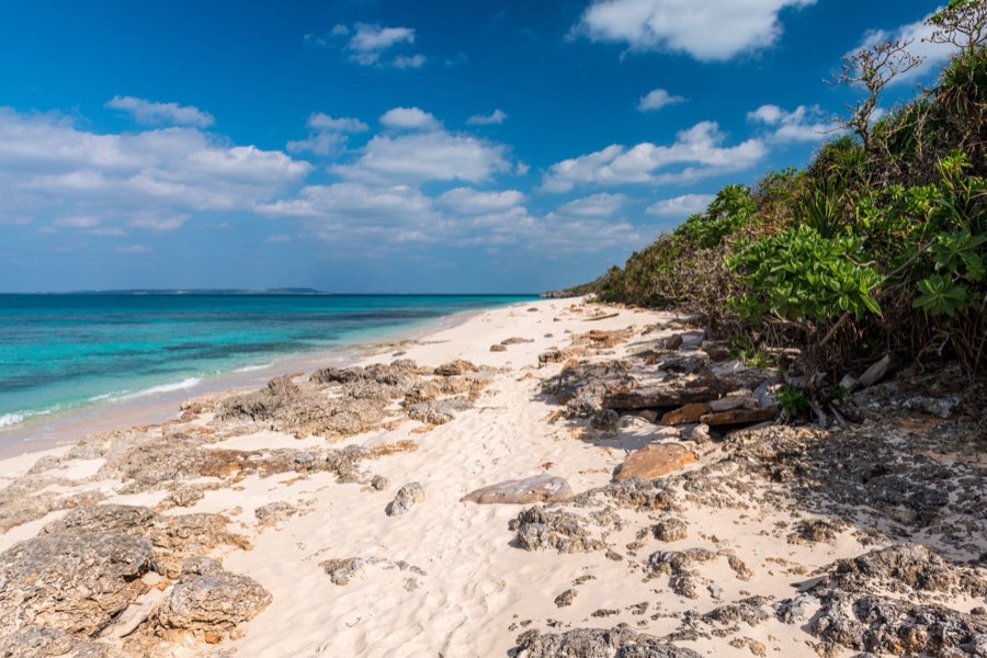 Okinawa, Autumn 2012, Japan. Photograph by Jordy Meow, 12/14