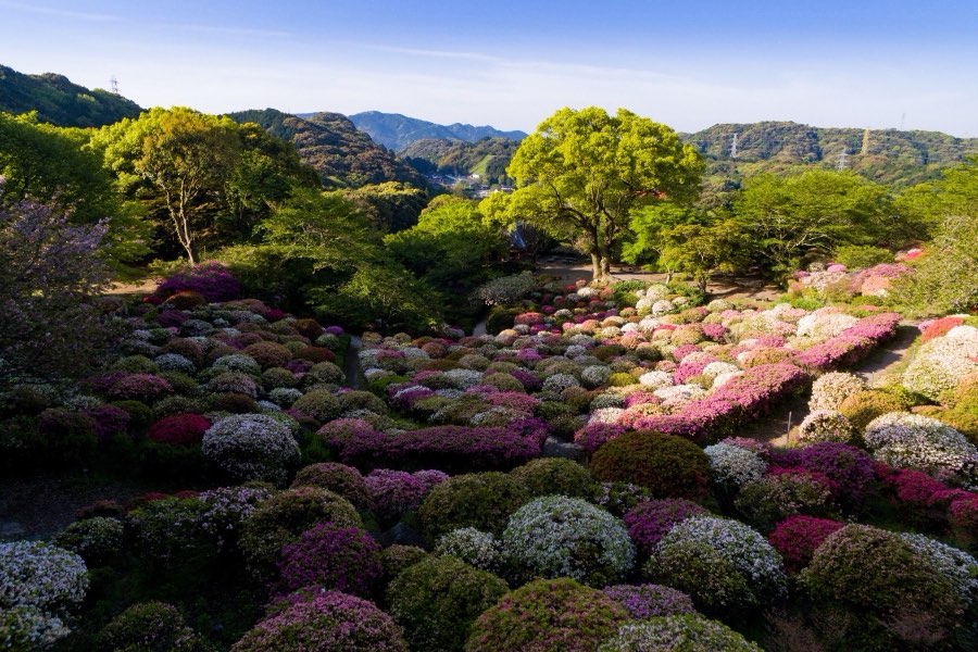 Saga, Spring 2016, Japan. Photograph by Jordy Meow, 7/8