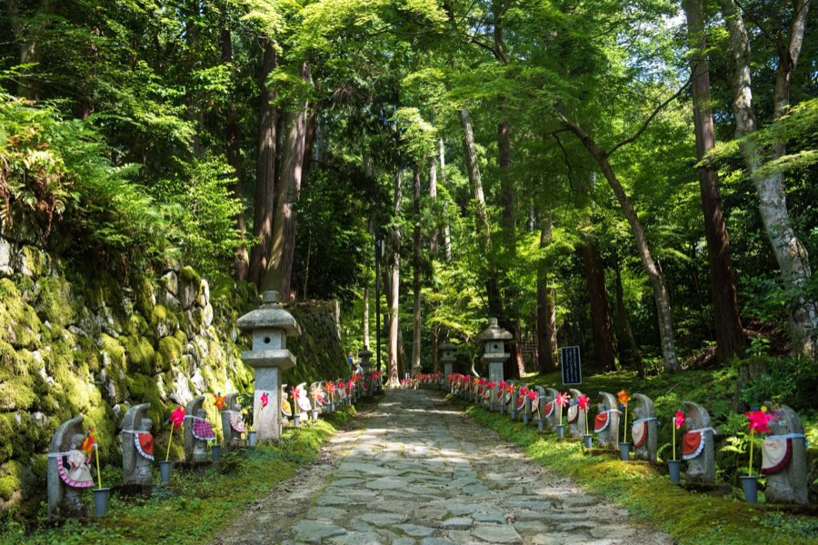 Shiga, Summer 2016, Japan. Photograph by Jordy Meow, 11/11