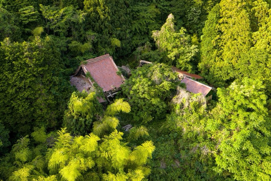 Shimane, Spring 2026, Japan. Photograph by Jordy Meow, 7/15