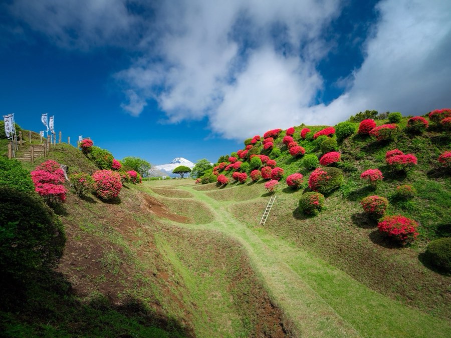 Shizuoka, Spring 2022, Japan. Photograph by Jordy Meow, 14/25