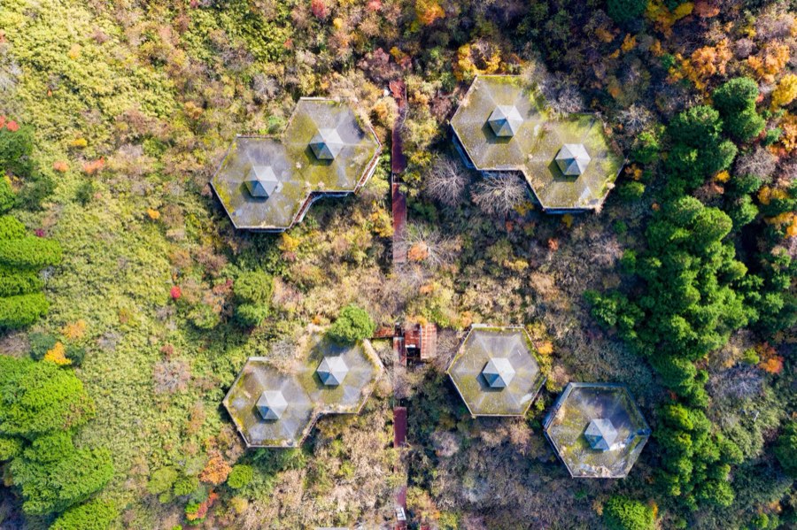 Shizuoka, Autumn 2020, Japan. Photograph by Jordy Meow, 15/25