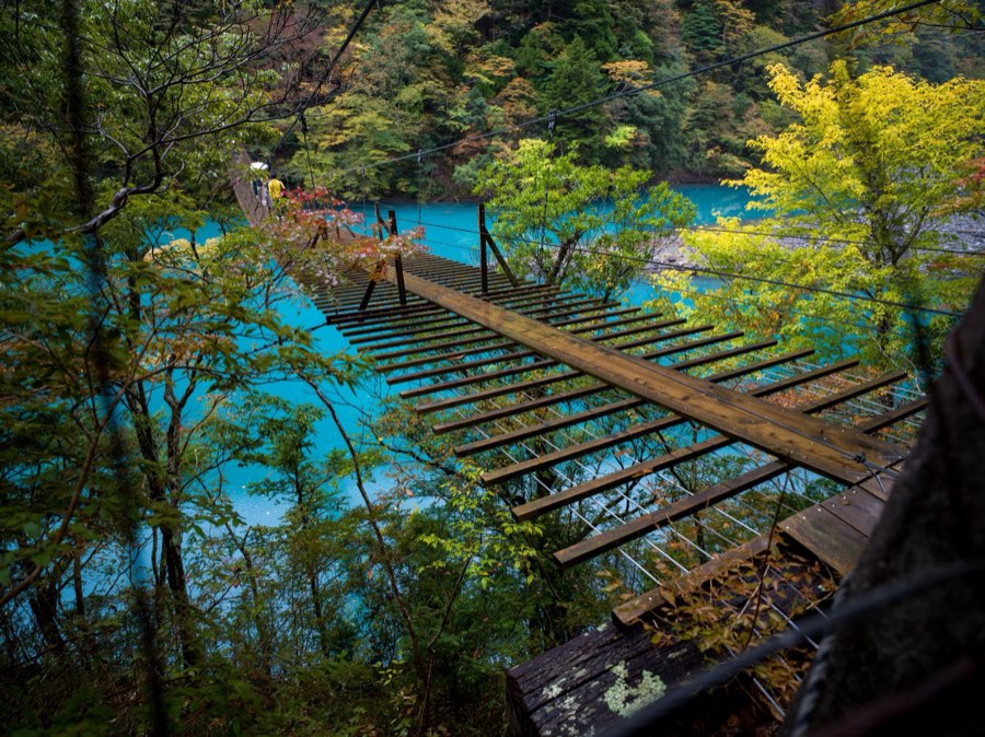 Shizuoka, Autumn 2019, Japan. Photograph by Jordy Meow, 17/25