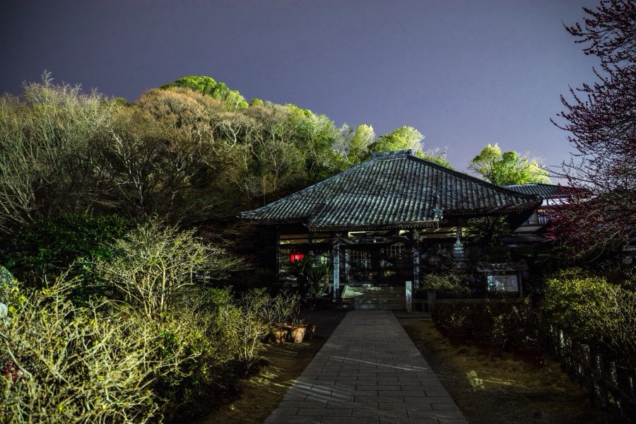 Shizuoka, Spring 2018, Japan. Photograph by Jordy Meow, 24/25