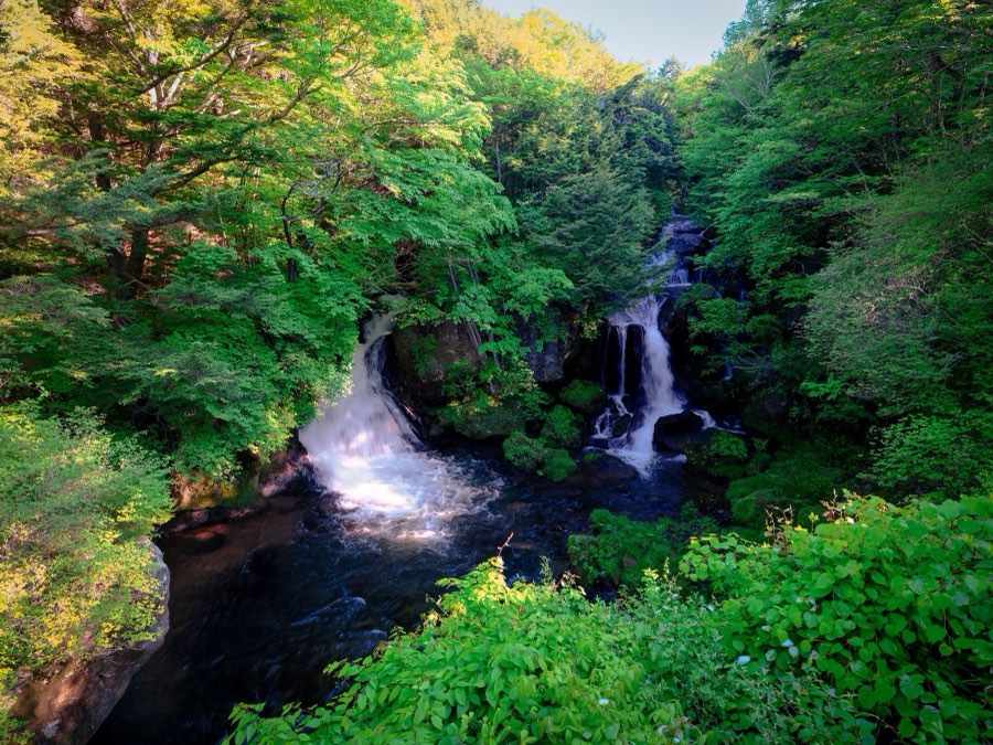 Tochigi, Summer 2021, Japan. Photograph by Jordy Meow, 1/22