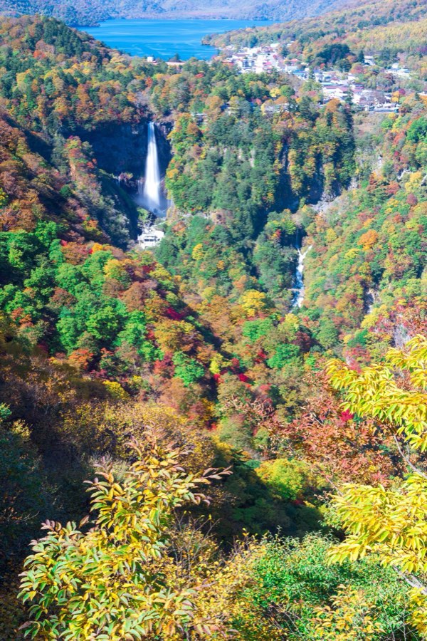 Tochigi, Autumn 2012, Japan. Photograph by Jordy Meow, 8/22