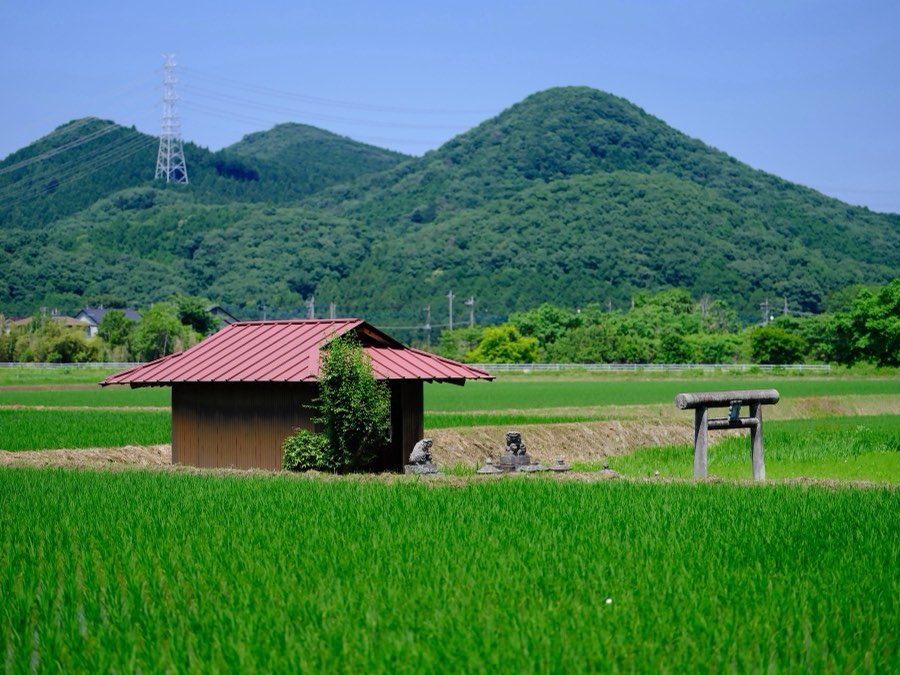 Tochigi, Summer 2021, Japan. Photograph by Jordy Meow, 9/22