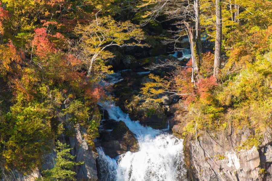 Tochigi, Autumn 2012, Japan. Photograph by Jordy Meow, 21/22