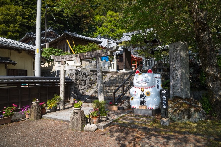 Tokushima, Spring 2019, Japan. Photograph by Jordy Meow, 210/289