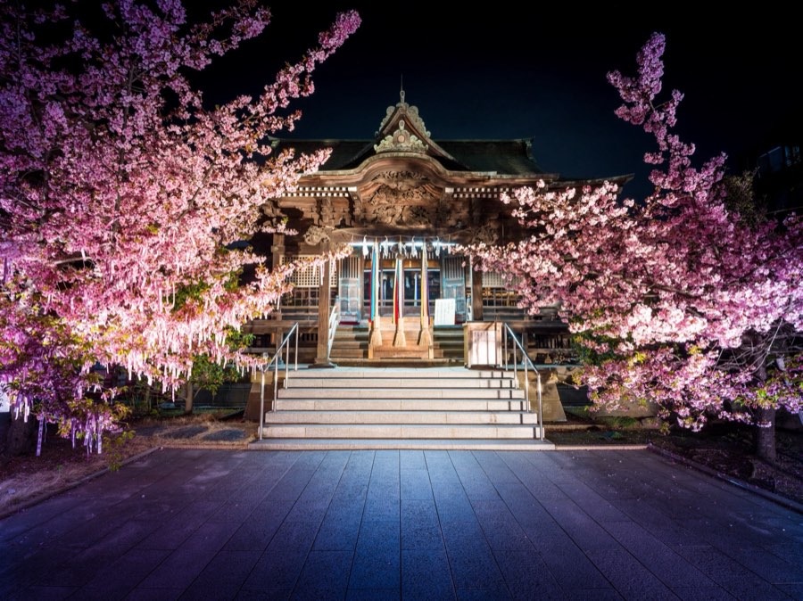 Tokyo, Spring 2020, Japan. Photograph by Jordy Meow, 7/33