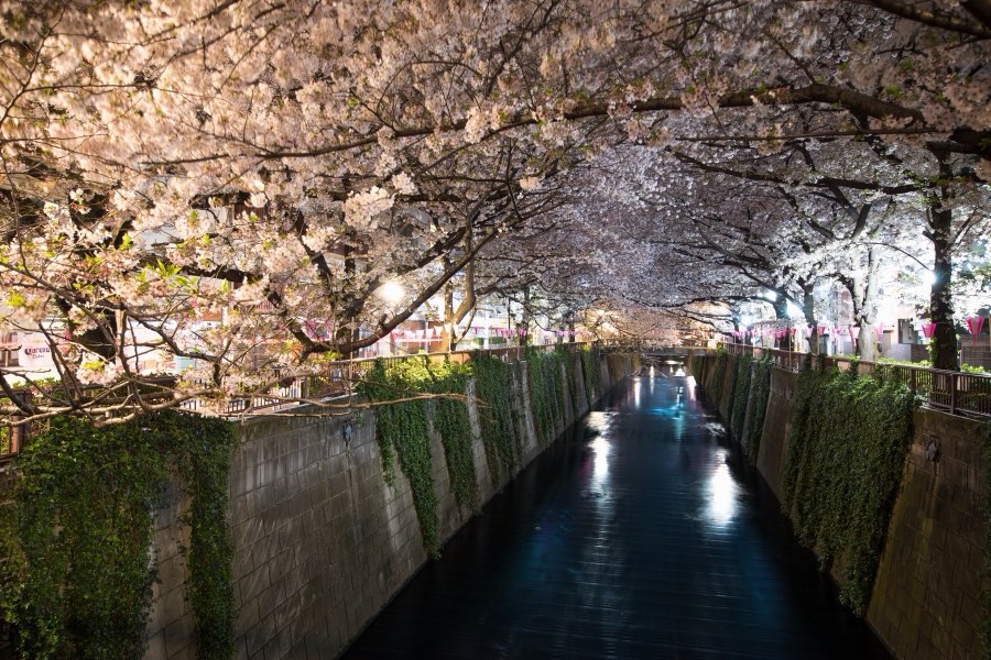 Tokyo, Spring 2017, Japan. Photograph by Jordy Meow, 24/33