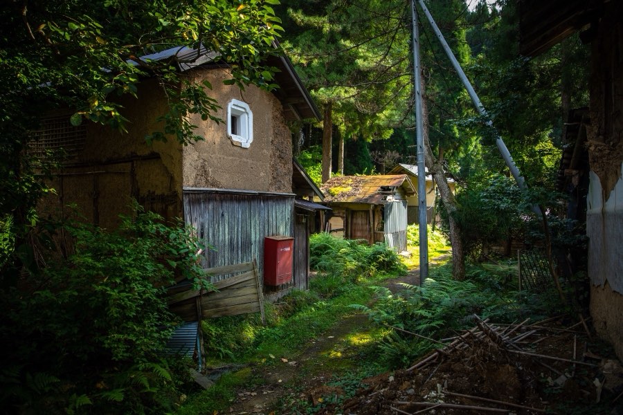 Tottori, Autumn 2019, Japan. Photograph by Jordy Meow, 1/5
