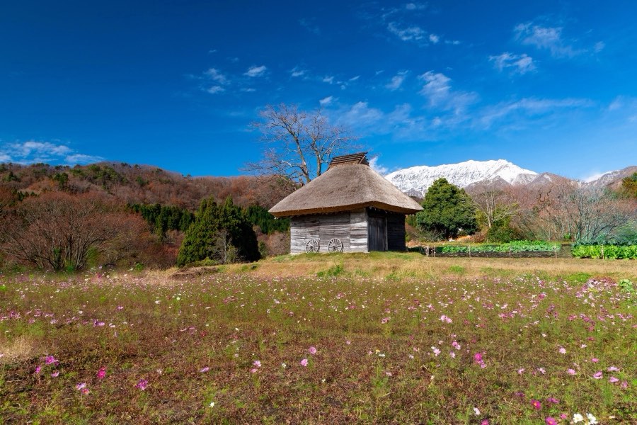 Tottori, Autumn 2018, Japan. Photograph by Jordy Meow, 2/5
