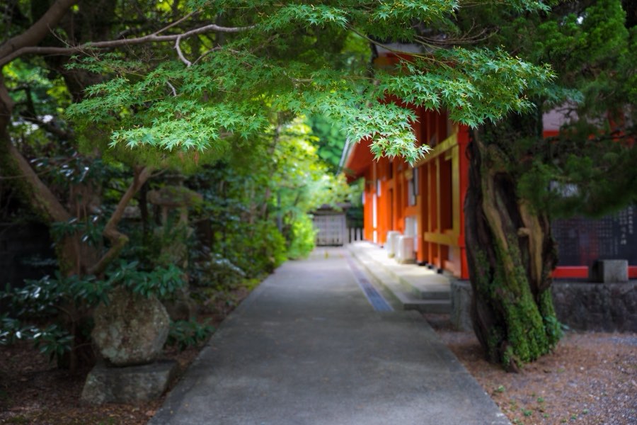 Wakayama, Autumn 2017, Japan. Photograph by Jordy Meow, 12/15