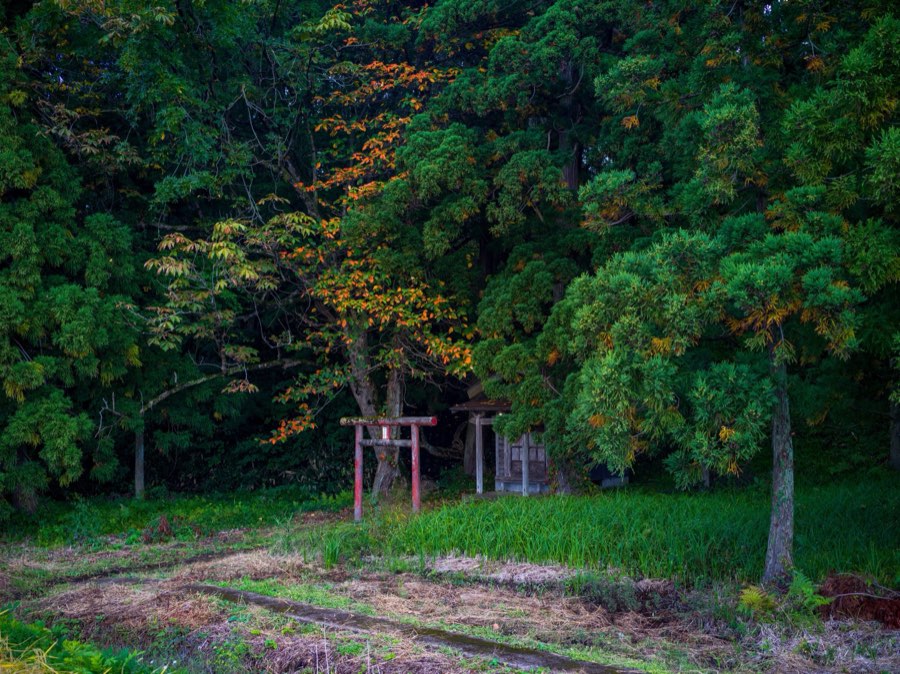 Yamagata, Autumn 2020, Japan. Photograph by Jordy Meow, 1/13